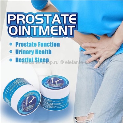 Мазь для лечения простаты Sumifun Prostate Ointment 10g (106)