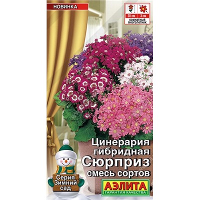 Цинерария Сюрприз смесь (Код: 92541)