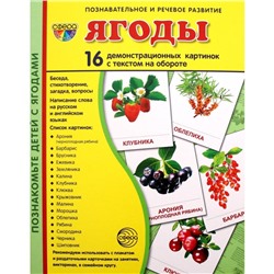 Демонстрационные картинки. Ягоды.. 16 демонстрационных картинок с текстом. 174х220 мм