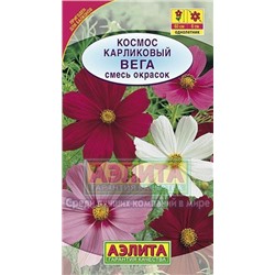 Космея Вега карликовый (Код: 14733)