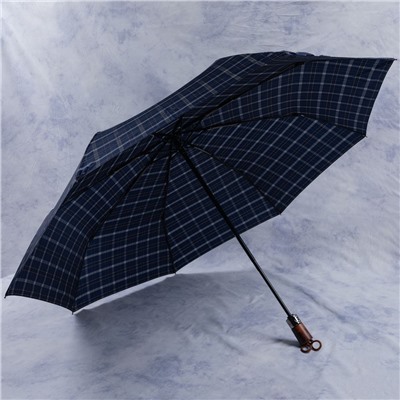 зонт 
            2.1809-04