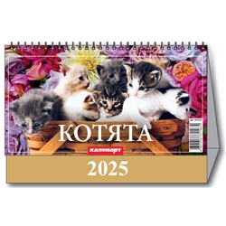 Календарь Домик 2025г. КОТЯТА 3800012