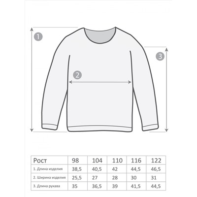 М-3218 Лонгслив 98-122 5шт