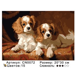 CN0072 Картины по номерам 20*30 цвет.холст