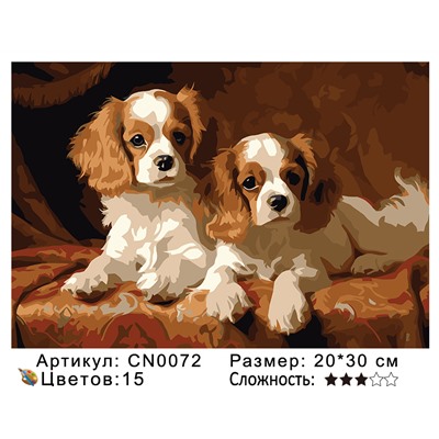 CN0072 Картины по номерам 20*30 цвет.холст