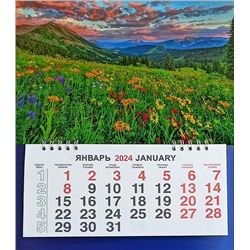 Календарь моно-эконом 2024г. Природа Цветочный луг КМ-24408