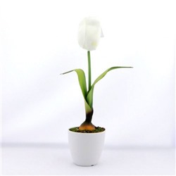 Цветок тюльпан в горшке FH-048 белый (12)