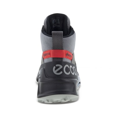 Ботинки мужские ECCO BIOM 2.1 X MOUNTAIN M, Ecco