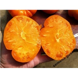 Помидор Крупноплодный - Amana Orange
