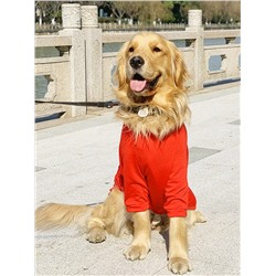 Leere Rote Dünne Hundekleidung Für Sommer, Anti-schuppen Kurze Ärmel Für Große Hunde