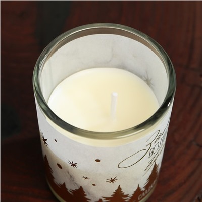 Новогодняя свеча в стакане «Зима - волшебное время», аромат ваниль