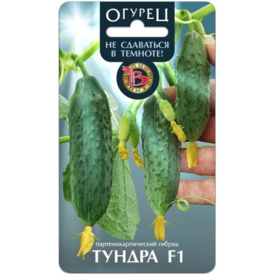 Огурец Тундра F1