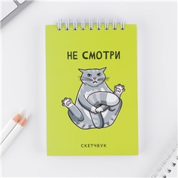 Скетчбук «Кот», А6, 80 л, 100 г/м