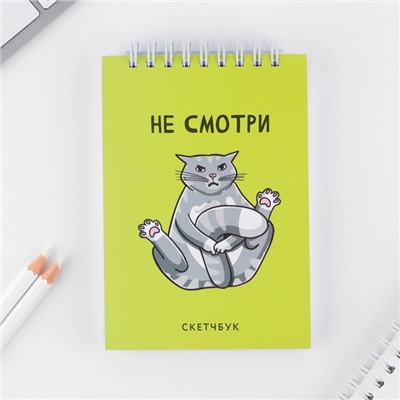 Скетчбук «Кот», А6, 80 л, 100 г/м