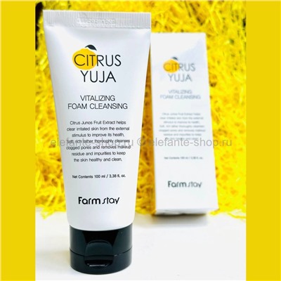 Пенка для умывания FarmStay Citrus Yuja Vitalizing Foam Cleansing 100ml (13)