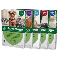 Advantage Spot-On Flohbehandlung für Katzen und Hunde